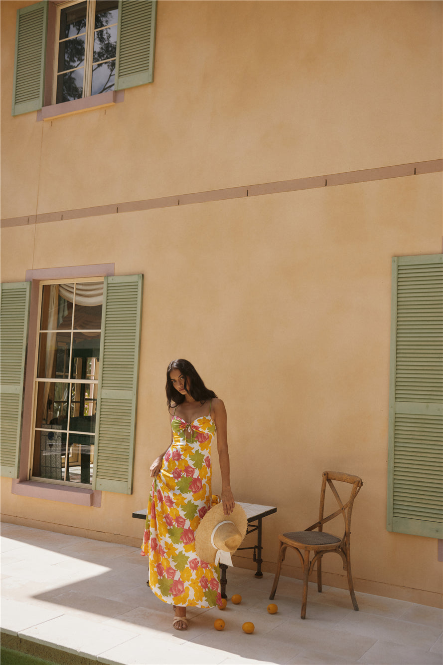 Warm Regards Maxi Dress Print